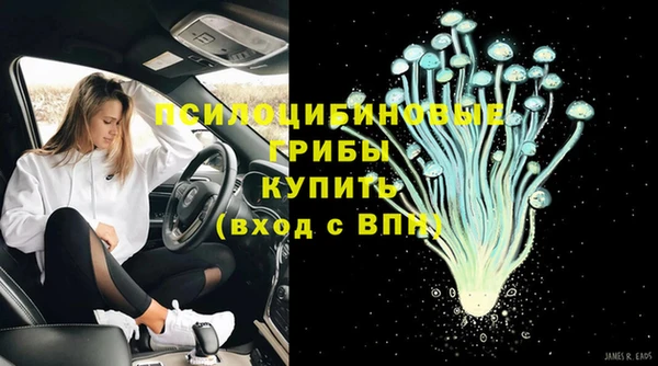 эйфоретик Медвежьегорск