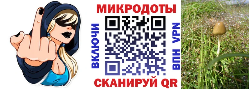 Галлюциногенные грибы прущие грибы Шимановск